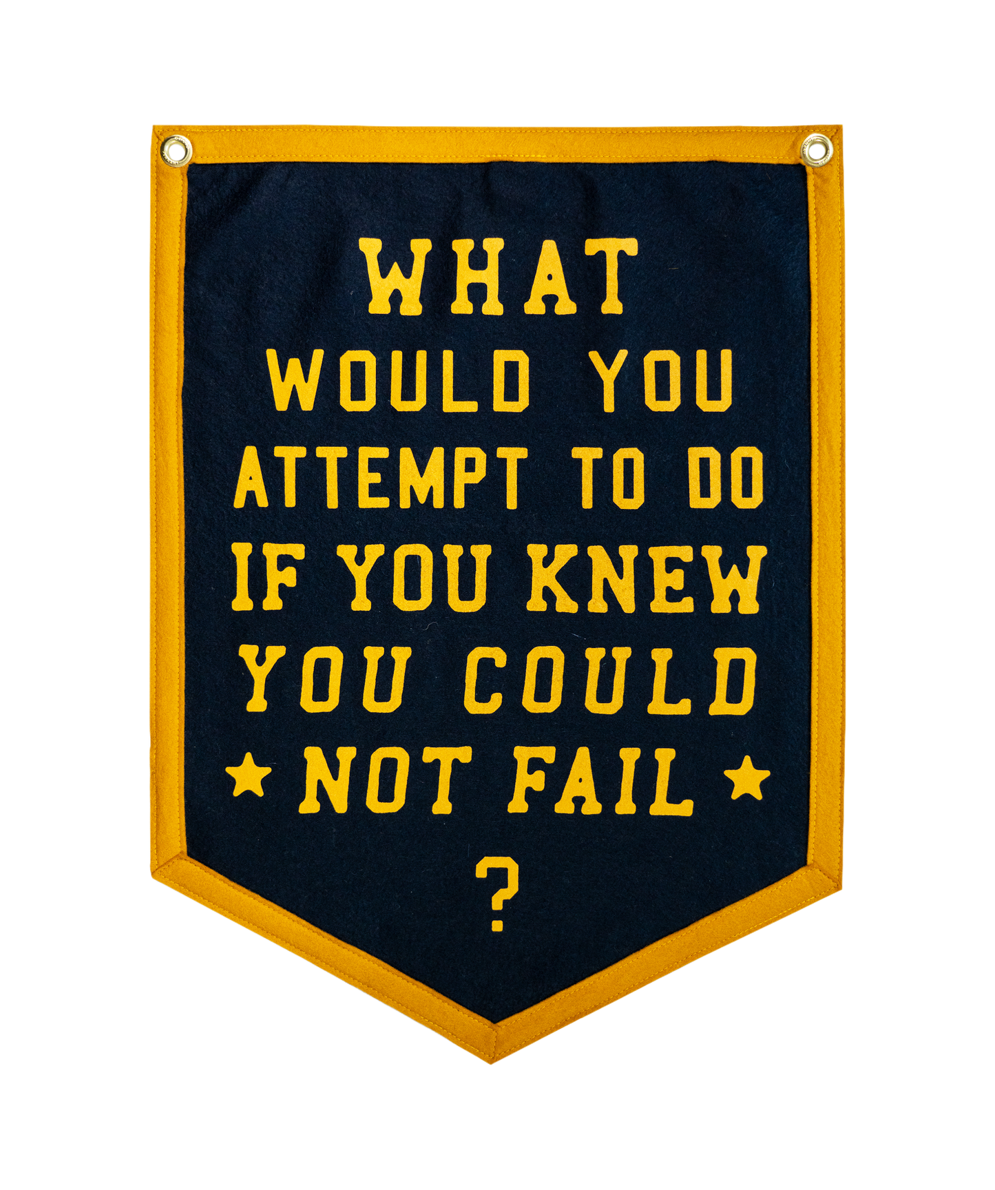 What Would You Attempt To Do