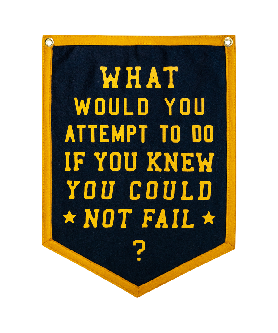 What Would You Attempt To Do