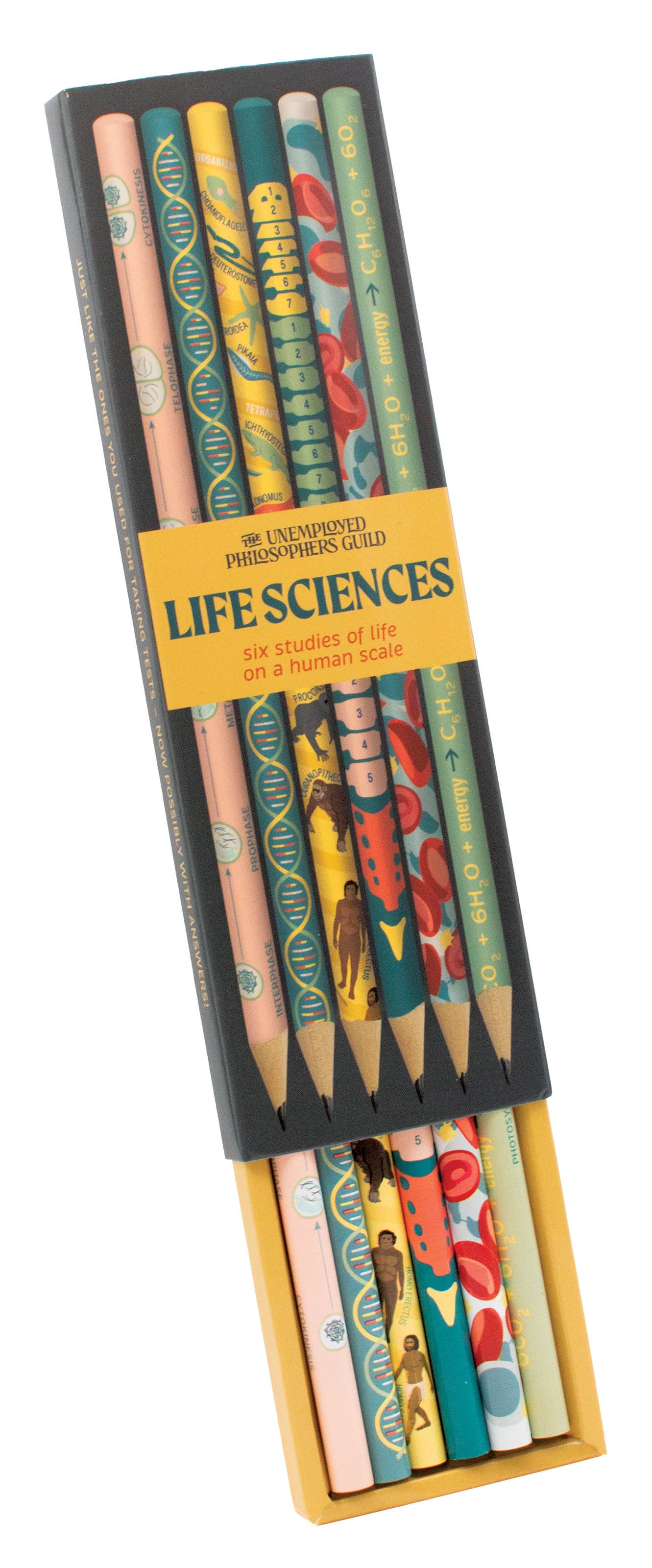 Life Sciences Pencil Set 6-Pack #2 Wooden Pencils